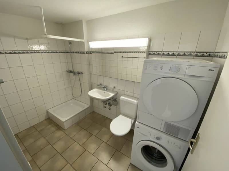 2.5 Room Apartment Ettenfeld North - Zurich Seebach (5)