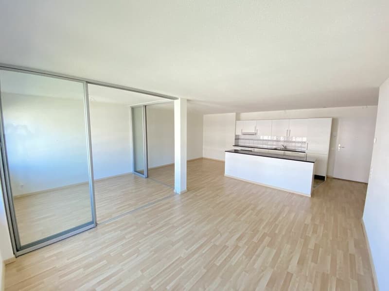 2.5 Room Apartment Ettenfeld North - Zurich Seebach (3)