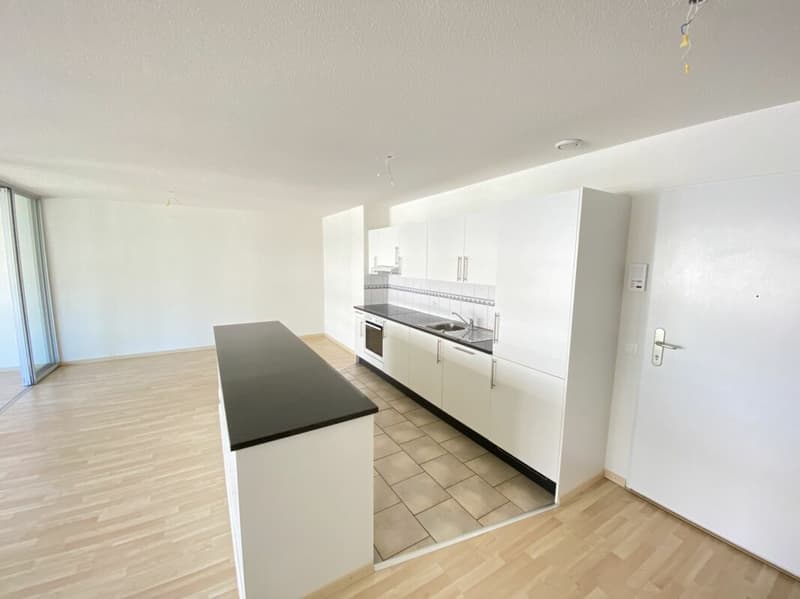 2.5 Room Apartment Ettenfeld North - Zurich Seebach (2)
