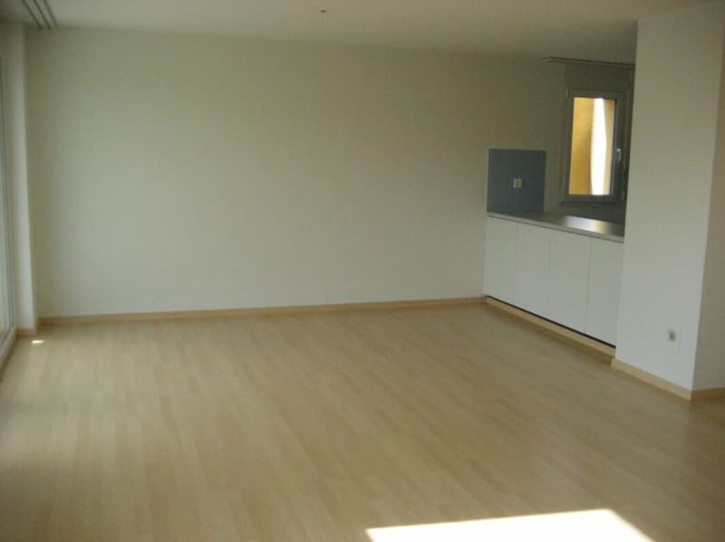 Appartement 3.5 pièces avec balcon (3)