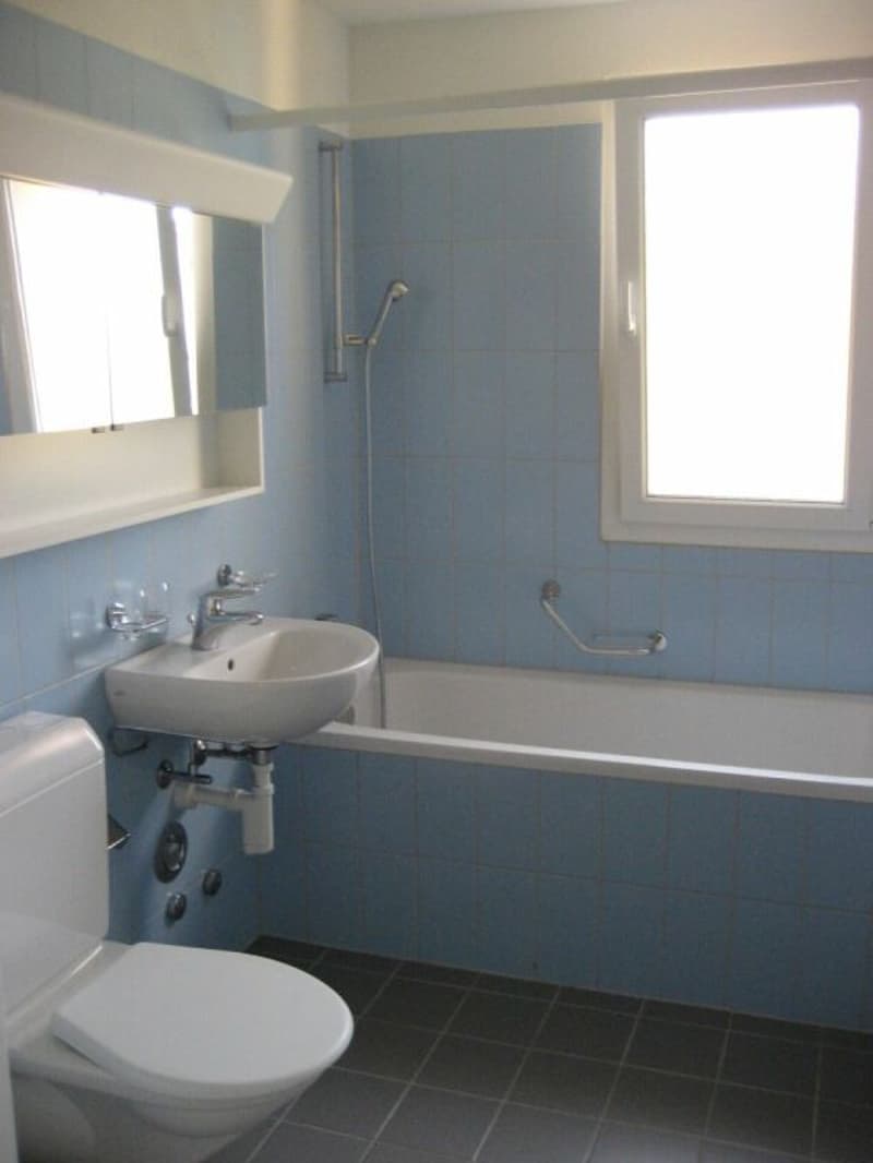 Appartement 3.5 pièces avec balcon (5)