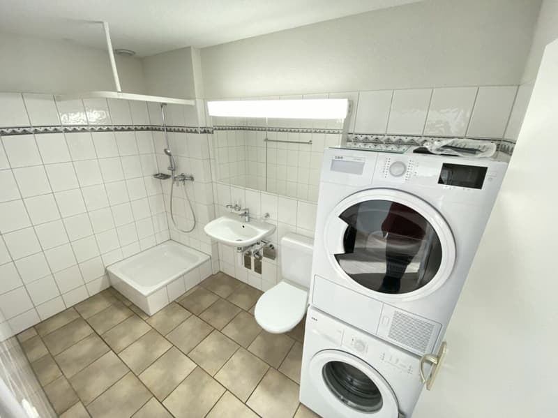 Modern 2.5-room apartment - Zurich Seebach (5)