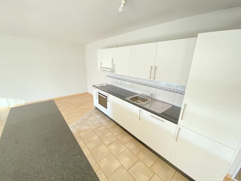 Modern 2.5-room apartment - Zurich Seebach (4)