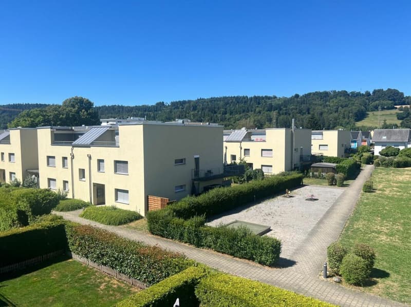 2.5-ZW im Dachgeschoss mit zwei grosszügigen Terrassen (8)
