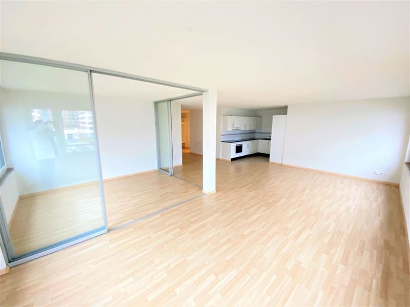 Bel appartement en ville à Zurich Nord avec tour de buanderie privée (1)