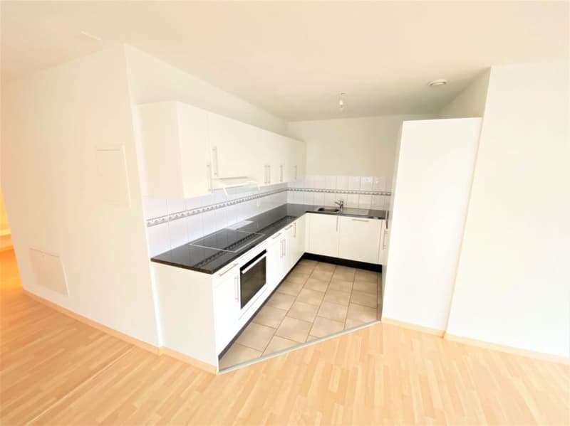 Bel appartement en ville à Zurich Nord avec tour de buanderie privée (3)