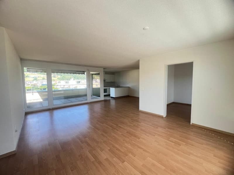 Appartement en mansarde de 2,5 pièces avec deux terrasses spacieuses (4)