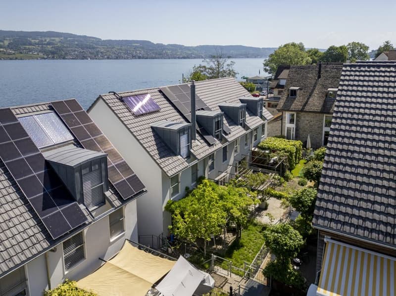 Maison de rangée dans un emplacement de premier ordre à Horgen (1)