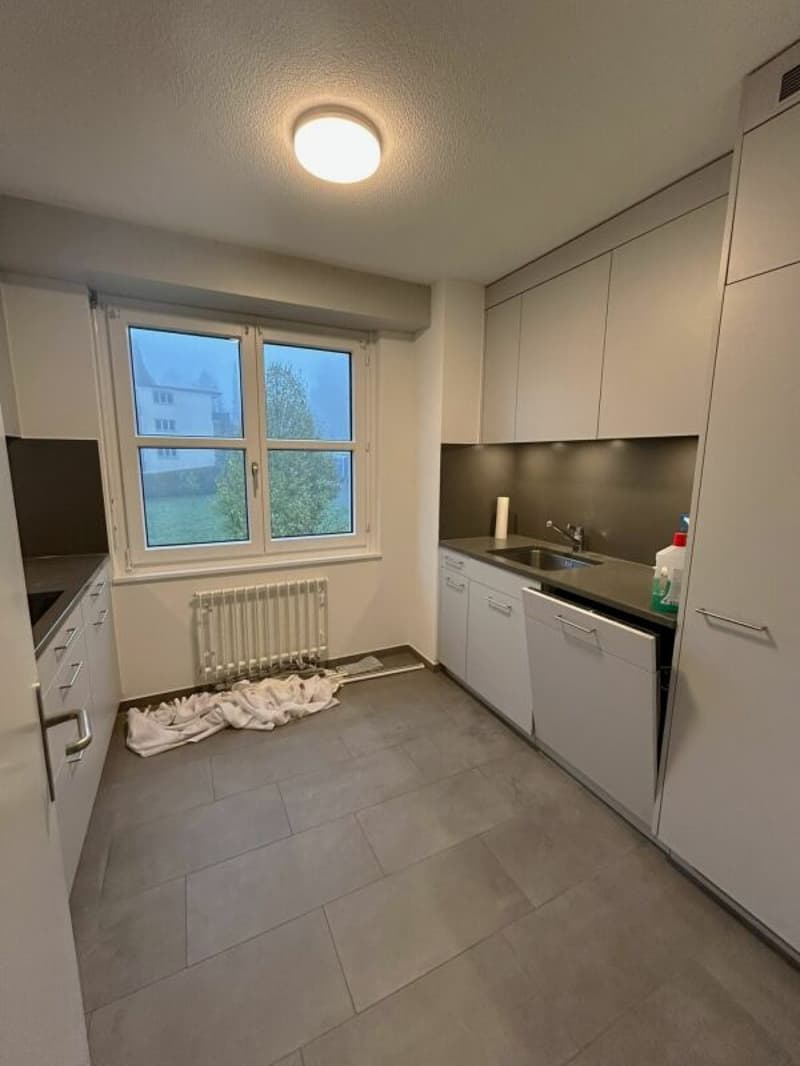 Wohnen in Wollishofen: frisch renovierte 5.5-Zimmerwohnung (8)