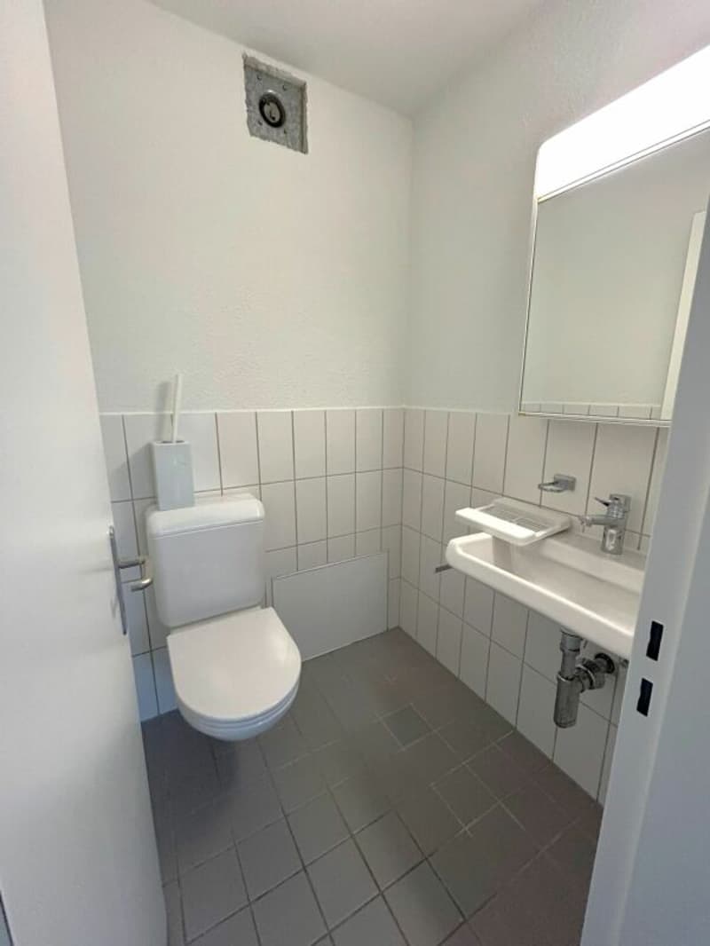 Wohnen in Wollishofen: frisch renovierte 5.5-Zimmerwohnung (6)
