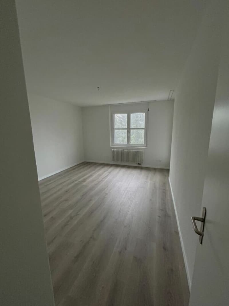 Wohnen in Wollishofen: frisch renovierte 5.5-Zimmerwohnung (12)