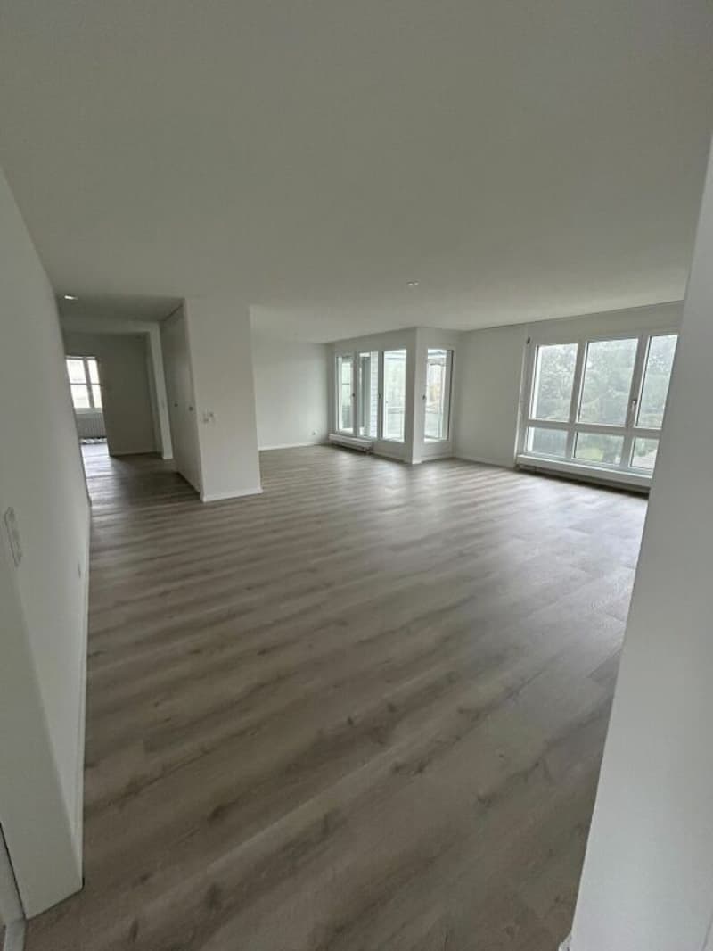 Wohnen in Wollishofen: frisch renovierte 5.5-Zimmerwohnung (2)