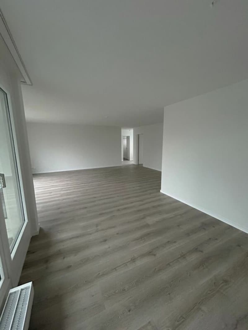 Wohnen in Wollishofen: frisch renovierte 5.5-Zimmerwohnung (4)