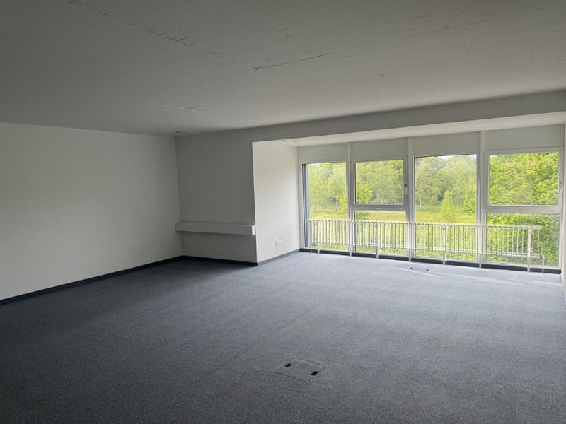 Office space with 49m2 in the Designer Center Wallisellen (3)