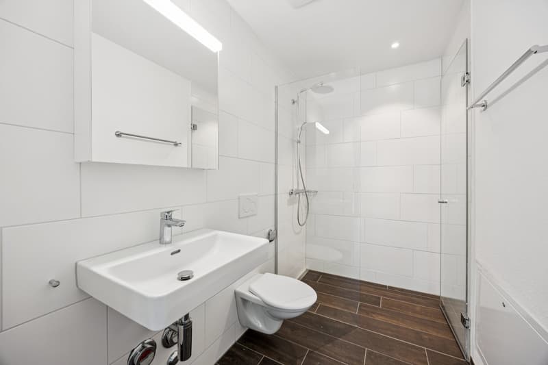 White sink, white shower enclosure, white tiles, white toilet, wall cabinet