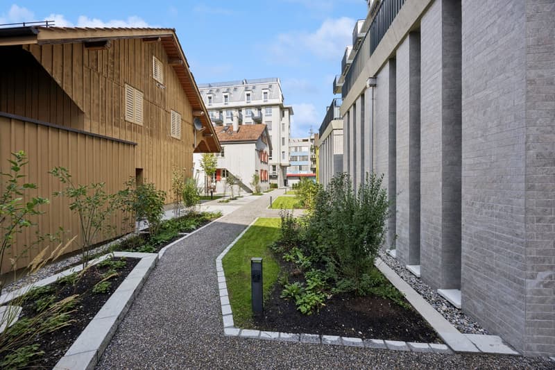 Prima locazione: Appartamento a livelli sfalsati moderno con charme a Zürich-Oerlikon (11)