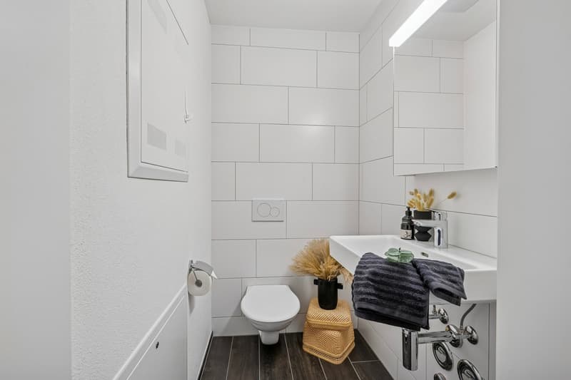 modern, minimalistic, white tiles, white toilet, white sink, dark wooden floor