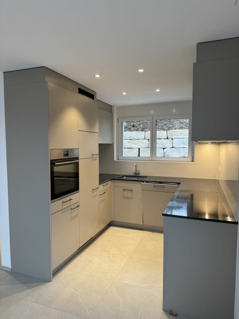 Nouveau bâtiment Friedau (4)
