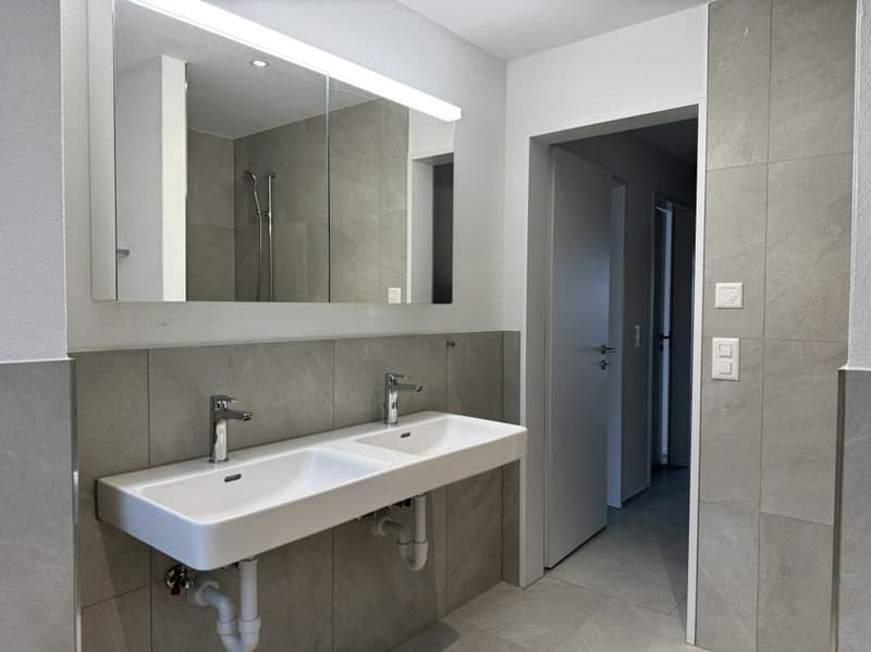 Nouveau bâtiment Friedau (7)