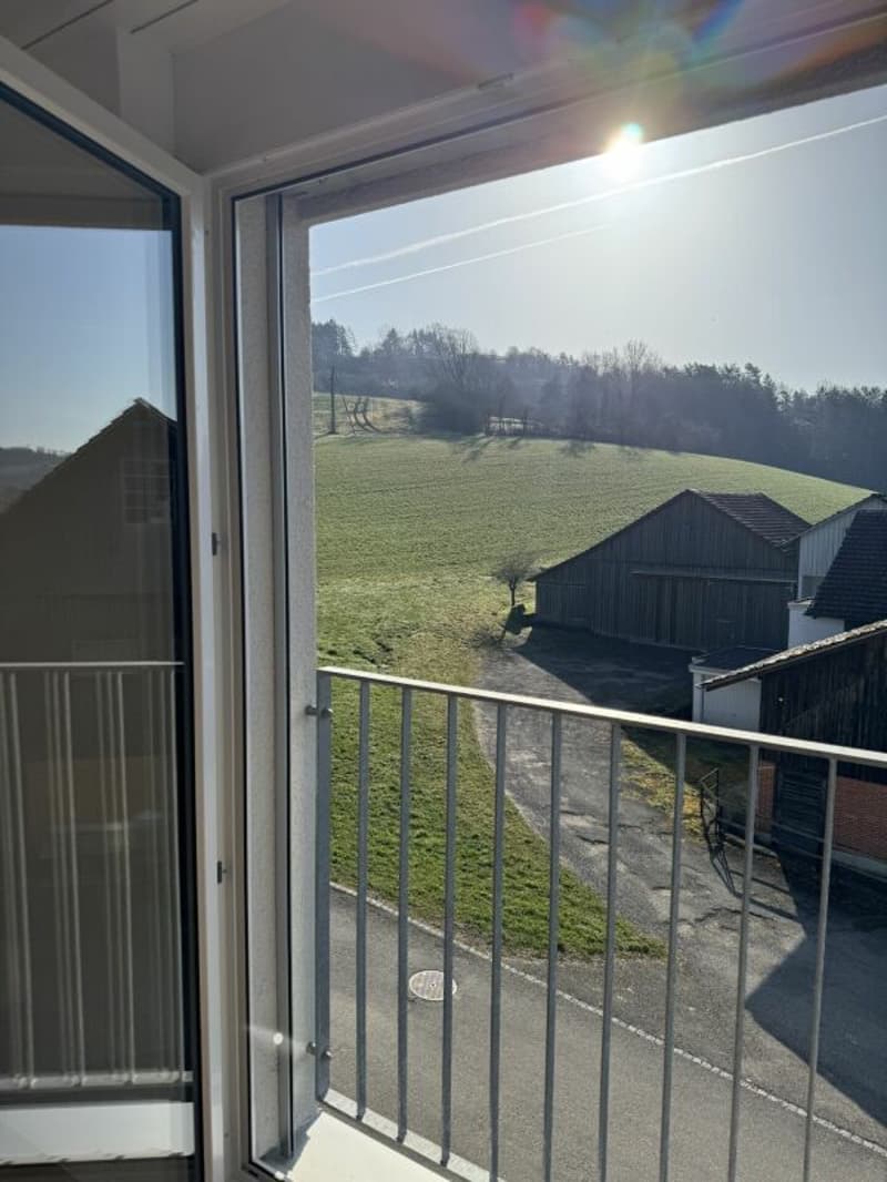 Nouveau bâtiment Friedau (8)