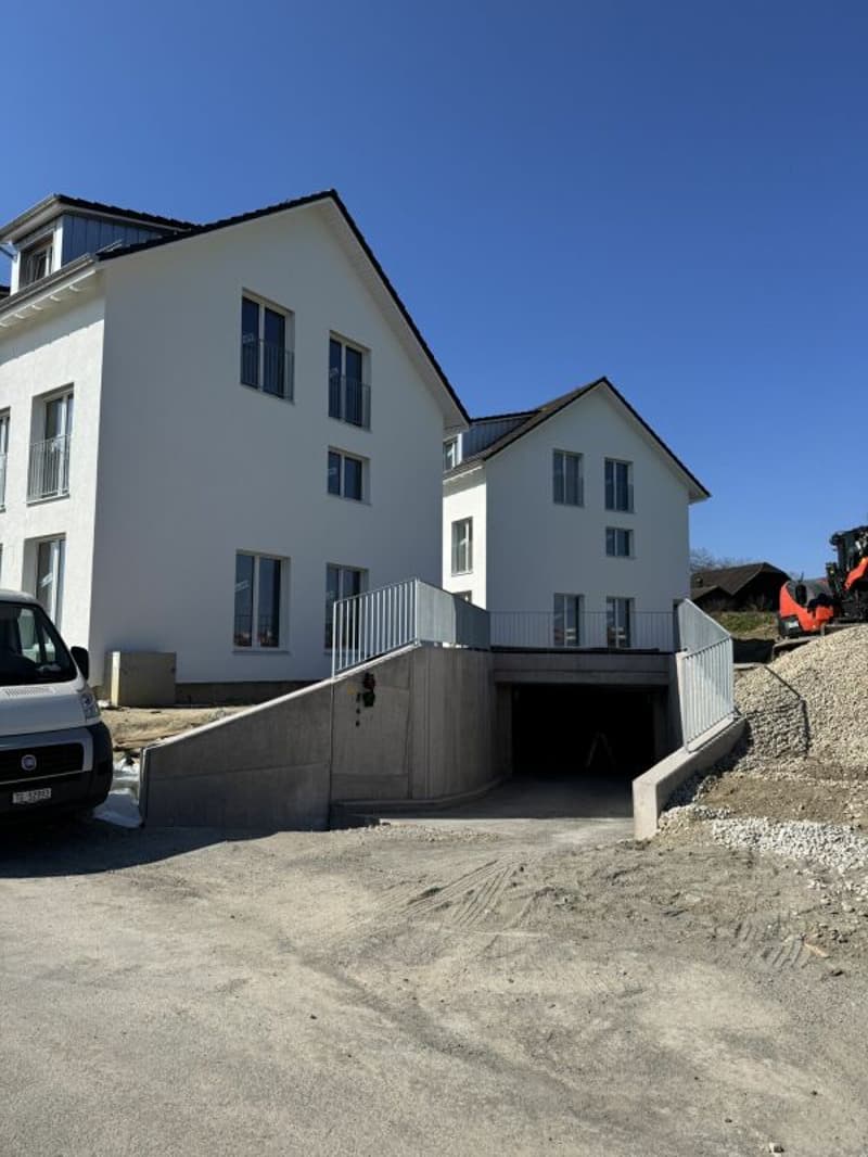 Vue des Alpes Wetzikon TG (2)