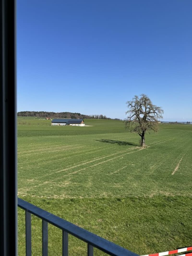 Vue des Alpes Wetzikon TG (8)