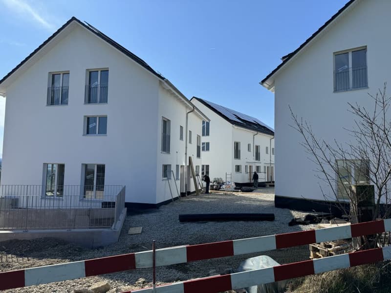 Vue des Alpes Wetzikon TG (3)