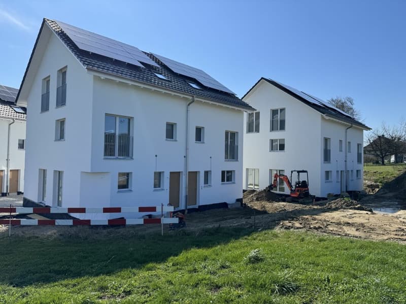 Vue des Alpes Wetzikon TG (4)