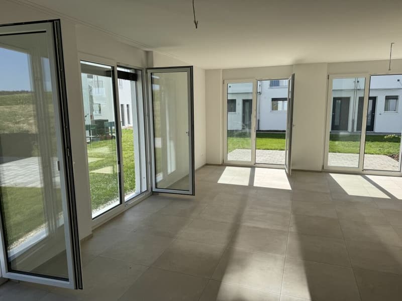 Alpenblick Wetzikon TG (10)