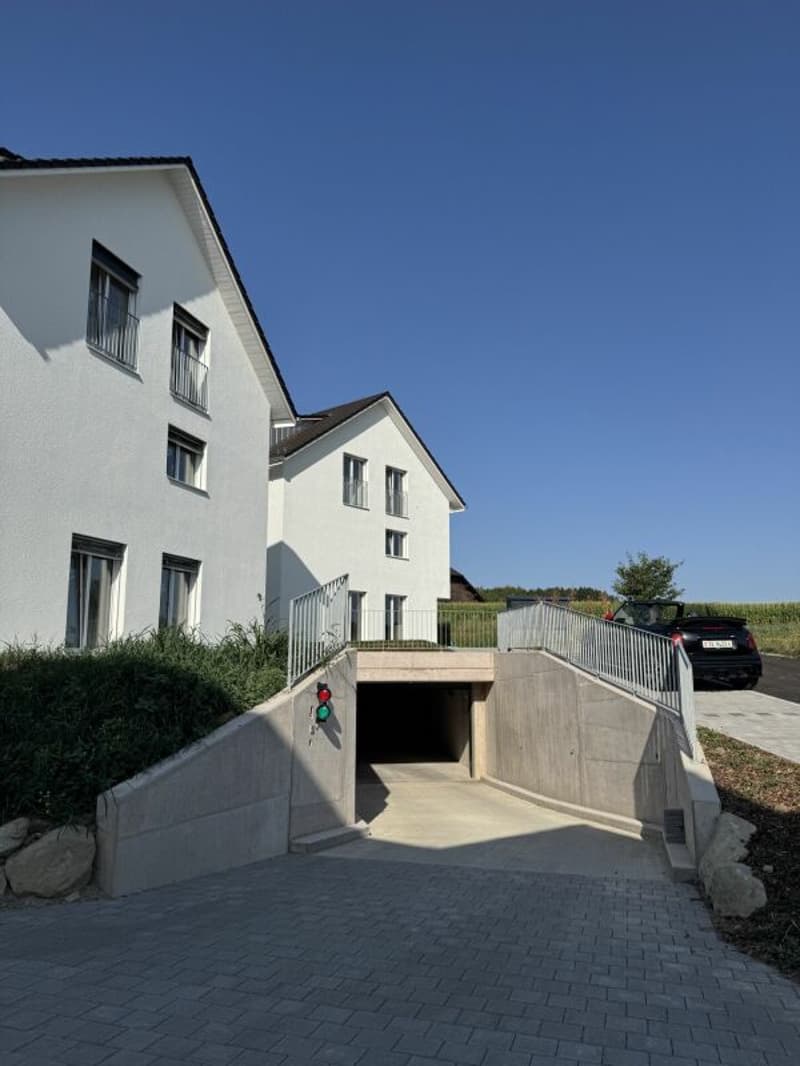 Alpenblick Wetzikon TG (2)