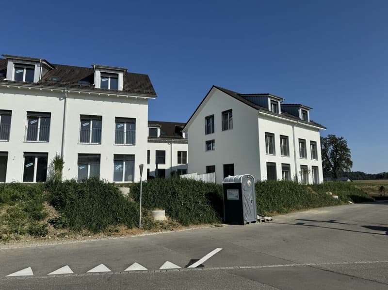 Alpenblick Wetzikon TG (1)