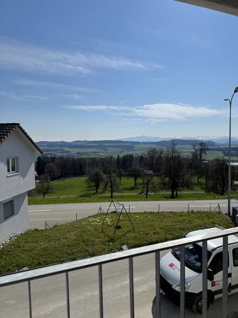 Alpenblick Wetzikon TG (7)