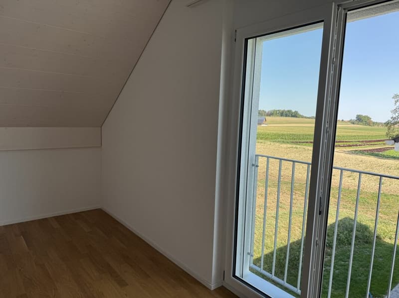 Alpenblick Wetzikon TG (15)