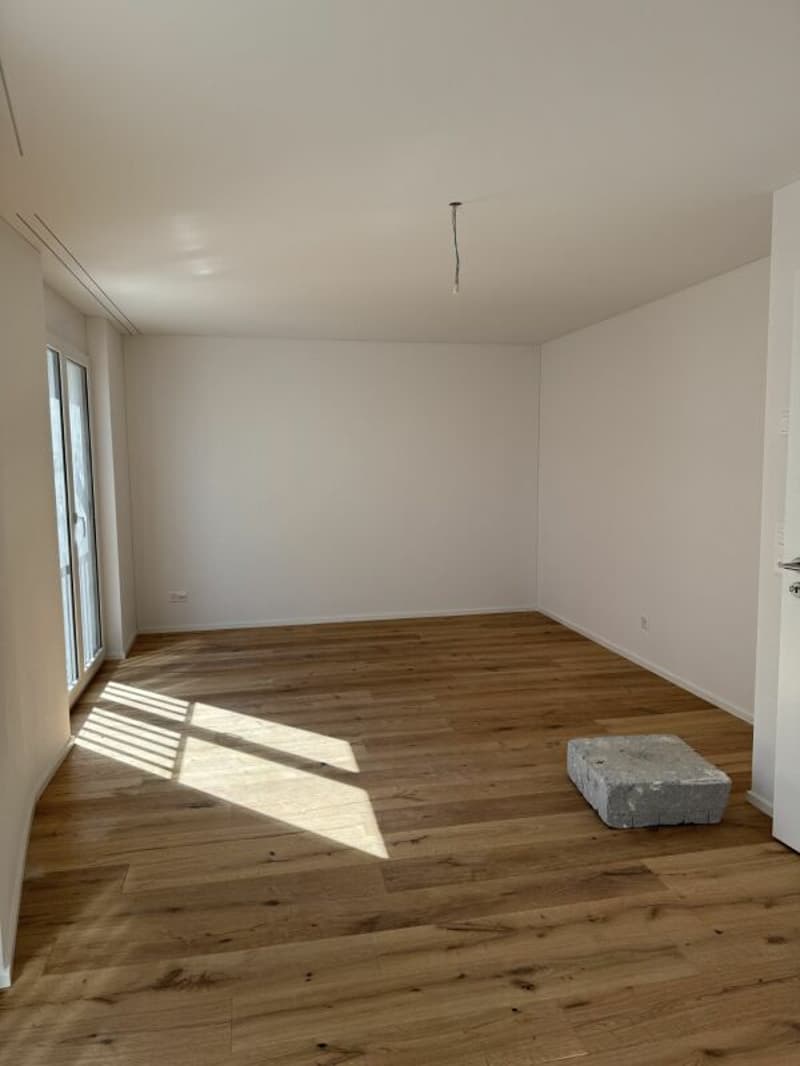 Neu-Modern-Bezugsbereit (7)
