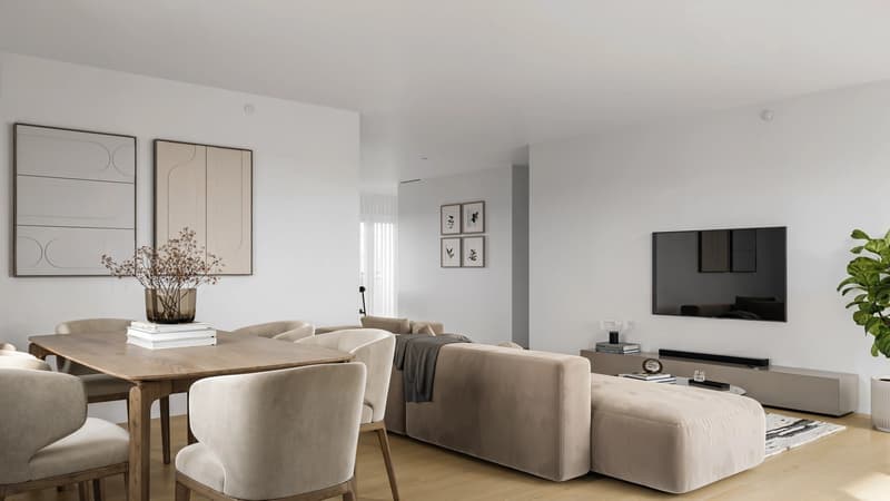 Frauenfelderstrasse 30 - Wohnzimmer
