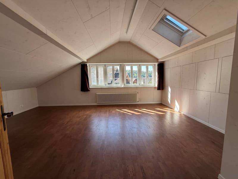 Zimmer DG