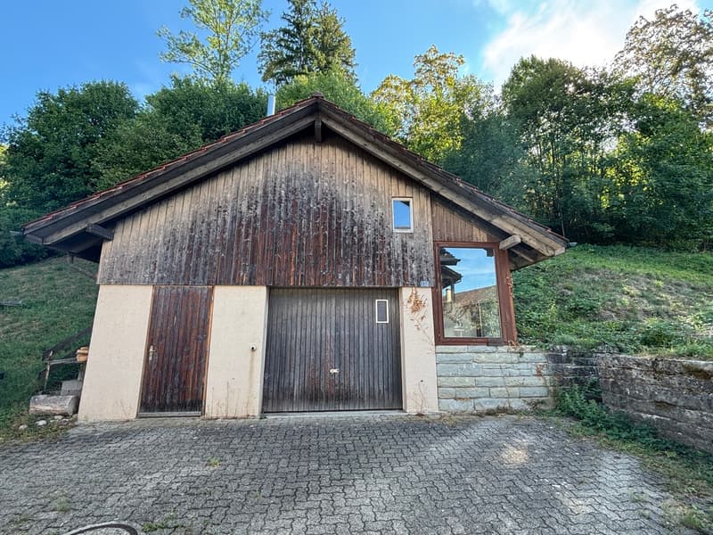 Schopf mit Garage, Werkstatt und Heizung