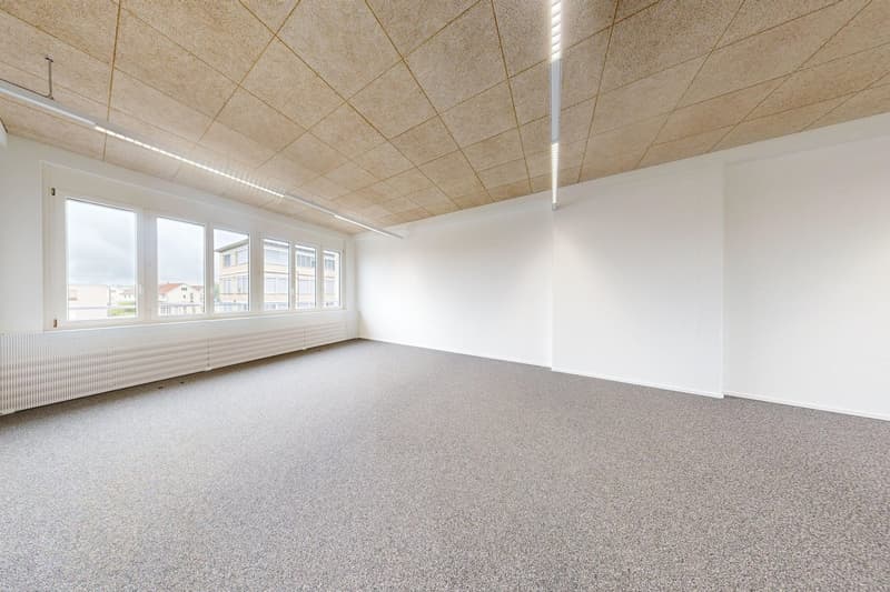 Helle Bürofläche in Wangen-Brüttisellen zu vermieten (1)