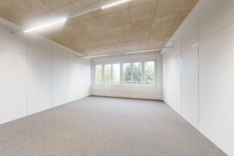 Helle Bürofläche in Wangen-Brüttisellen zu vermieten (4)