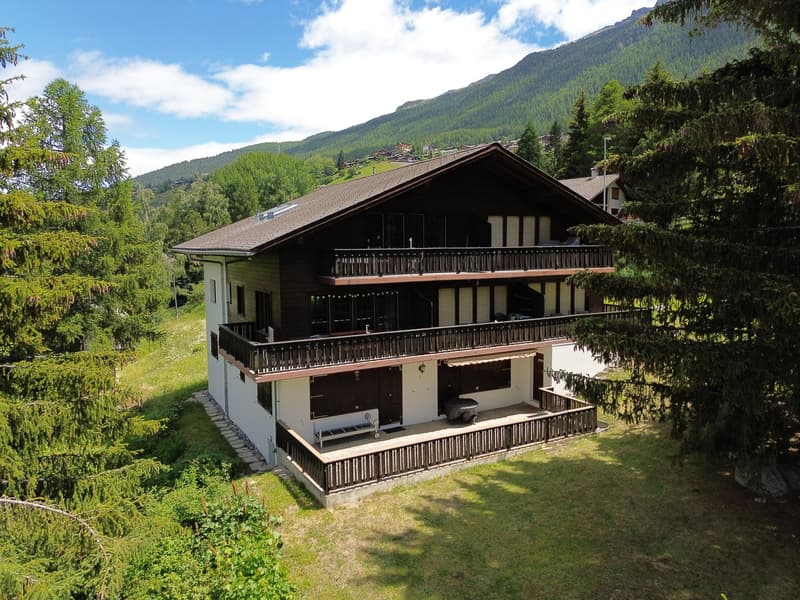 Appartement mansardé charmant avec belle vue sur les montagnes (2)