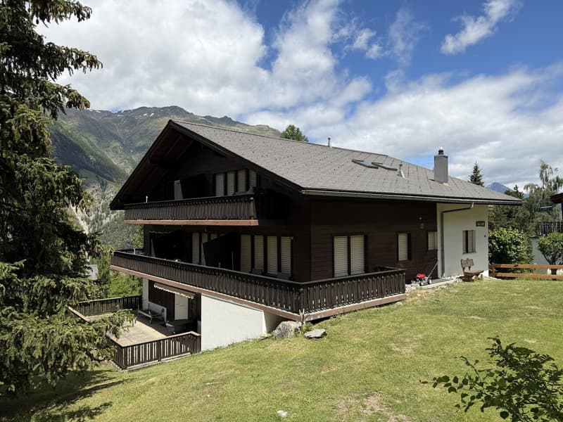 Appartement mansardé charmant avec belle vue sur les montagnes (1)