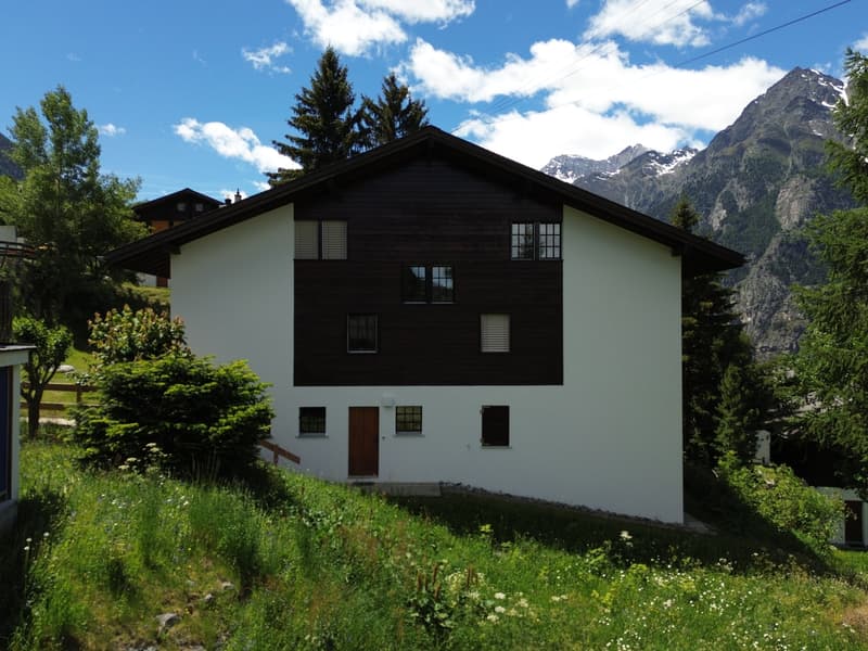 Appartement mansardé charmant avec belle vue sur les montagnes (4)