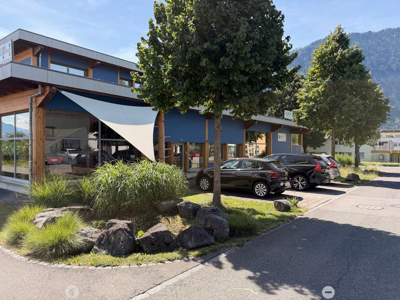 Schöne Attikawohnung mitten im Grünen (6)