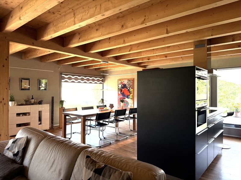 Beautiful attic apartment in the green (9)