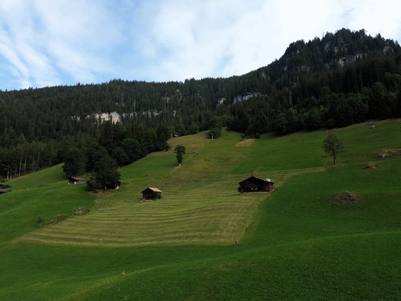 Building plot with a grandiose mountain view (7)