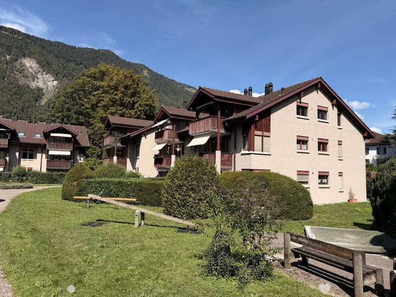 Wohnen im Park - sonnige 4.5 Zimmerwohnung im Erdgeschoss (3)