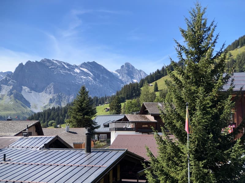 Einmalige Gelegenheit - saniertes Wohnhaus mit 2 Wohnungen (9)