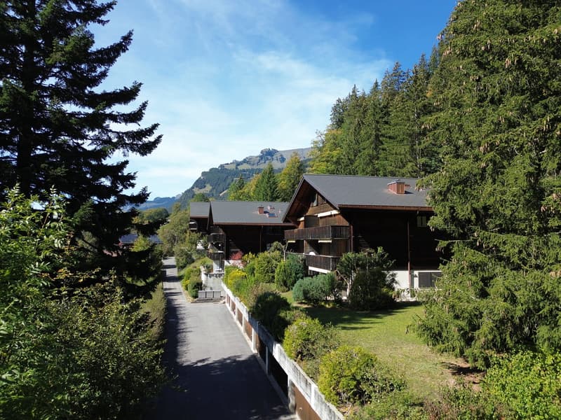 Heimelige 2½-Zimmer-Wohnung mit herrlicher Bergsicht in Grindelwald (2)