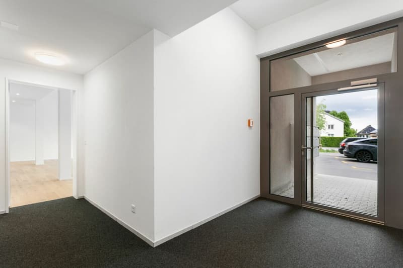 First-time rental: Modern commercial space with high-quality finishes in a central location (11)