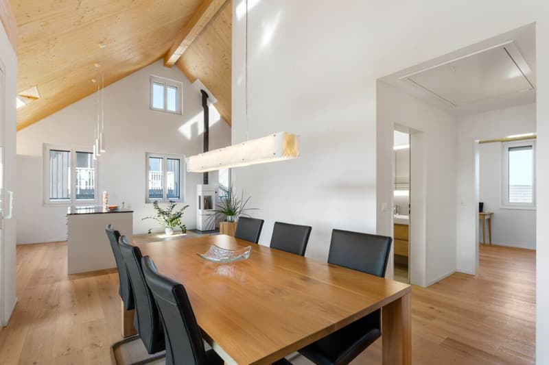 Spacious and modern attic apartment (6)